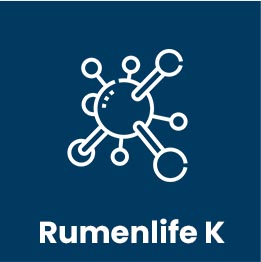rumen life k