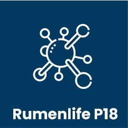 rumen life p18