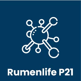 rumen life p21