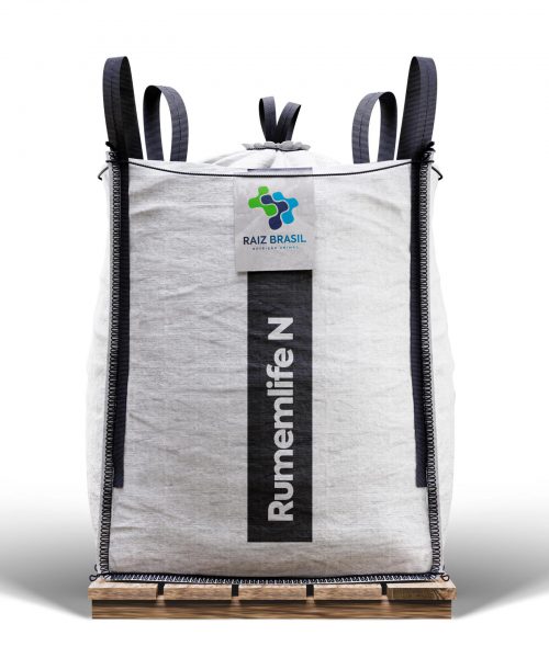 RumenlifeN